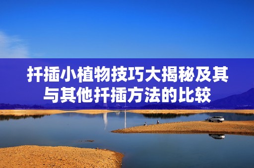 扦插小植物技巧大揭秘及其与其他扦插方法的比较