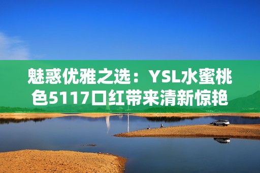 魅惑优雅之选：YSL水蜜桃色5117口红带来清新惊艳体验