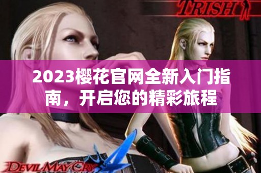 2023樱花官网全新入门指南，开启您的精彩旅程