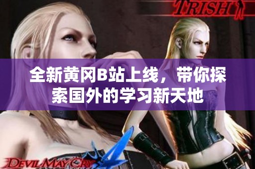 全新黄冈B站上线，带你探索国外的学习新天地