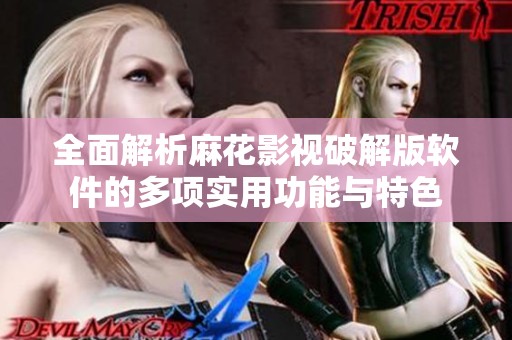 全面解析麻花影视破解版软件的多项实用功能与特色