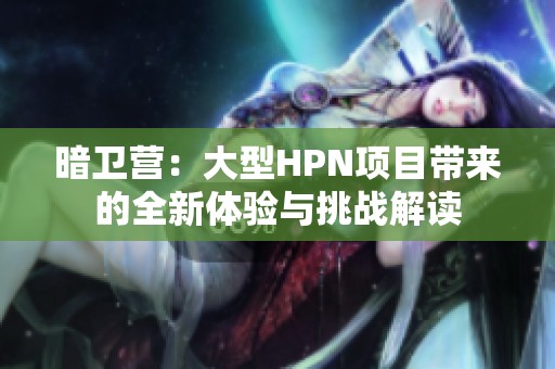 暗卫营：大型HPN项目带来的全新体验与挑战解读