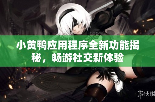 小黄鸭应用程序全新功能揭秘，畅游社交新体验