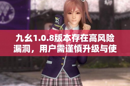 九幺1.0.8版本存在高风险漏洞，用户需谨慎升级与使用