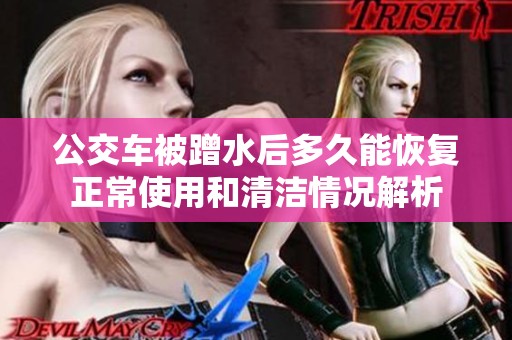 公交车被蹭水后多久能恢复正常使用和清洁情况解析