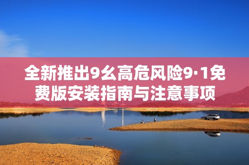 全新推出9幺高危风险9·1免费版安装指南与注意事项