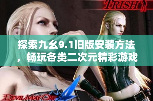 探索九幺9.1旧版安装方法，畅玩各类二次元精彩游戏