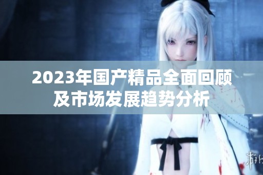 2023年国产精品全面回顾及市场发展趋势分析