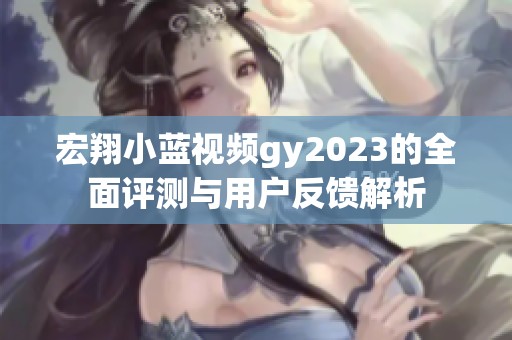 宏翔小蓝视频gy2023的全面评测与用户反馈解析
