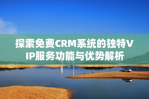 探索免费CRM系统的独特VIP服务功能与优势解析
