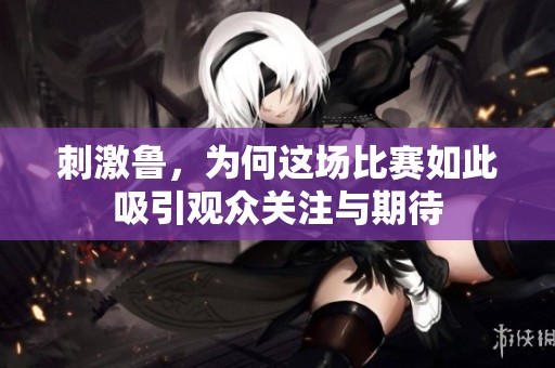 刺激鲁，为何这场比赛如此吸引观众关注与期待