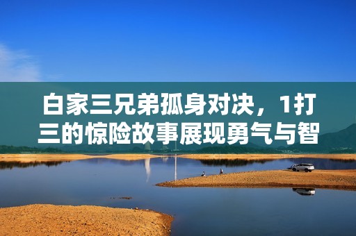 白家三兄弟孤身对决，1打三的惊险故事展现勇气与智慧