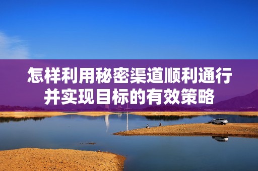 怎样利用秘密渠道顺利通行并实现目标的有效策略