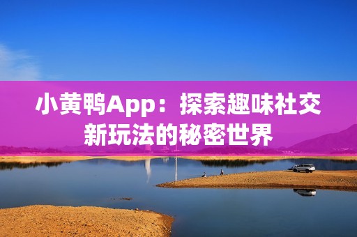 小黄鸭App：探索趣味社交新玩法的秘密世界