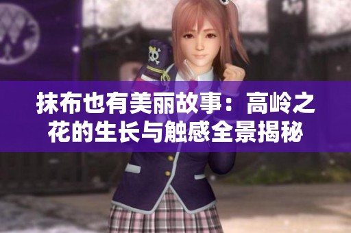 抹布也有美丽故事：高岭之花的生长与触感全景揭秘