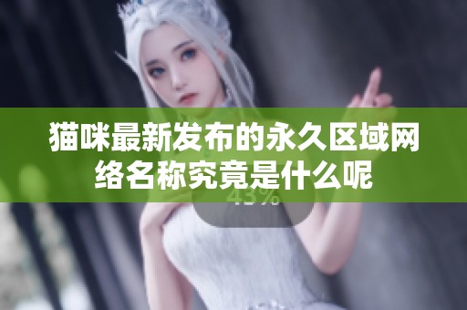 猫咪最新发布的永久区域网络名称究竟是什么呢