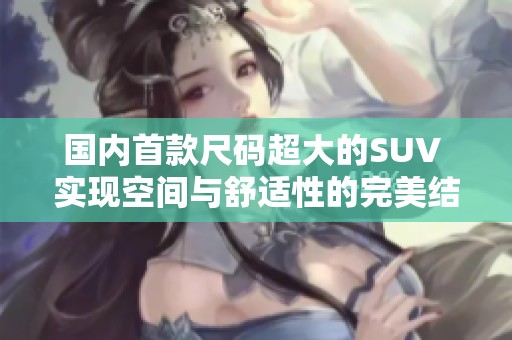 国内首款尺码超大的SUV 实现空间与舒适性的完美结合