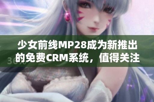 少女前线MP28成为新推出的免费CRM系统，值得关注