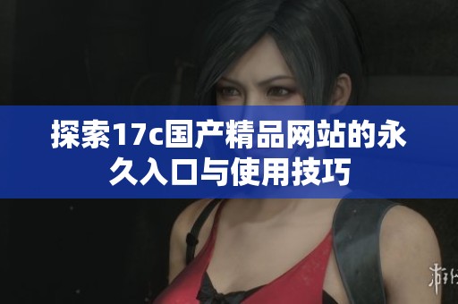 探索17c国产精品网站的永久入口与使用技巧