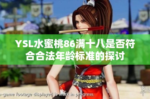 YSL水蜜桃86满十八是否符合合法年龄标准的探讨