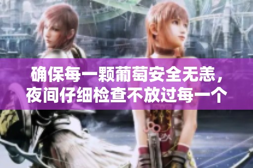 确保每一颗葡萄安全无恙，夜间仔细检查不放过每一个细节