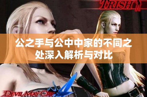 公之手与公中中家的不同之处深入解析与对比