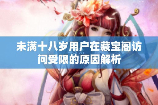 未满十八岁用户在藏宝阁访问受限的原因解析