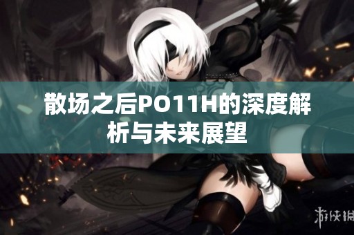 散场之后PO11H的深度解析与未来展望