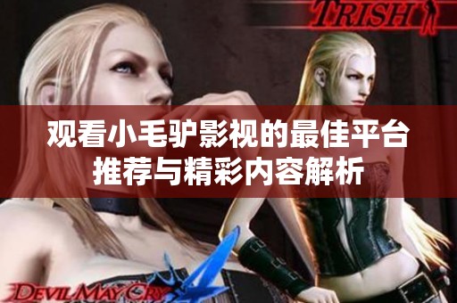 观看小毛驴影视的最佳平台推荐与精彩内容解析