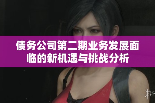 债务公司第二期业务发展面临的新机遇与挑战分析