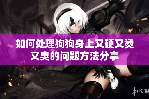 如何处理狗狗身上又硬又烫又臭的问题方法分享