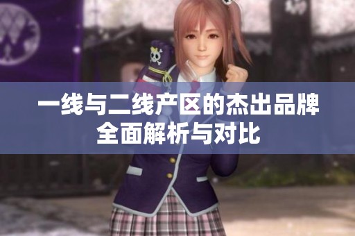 一线与二线产区的杰出品牌全面解析与对比