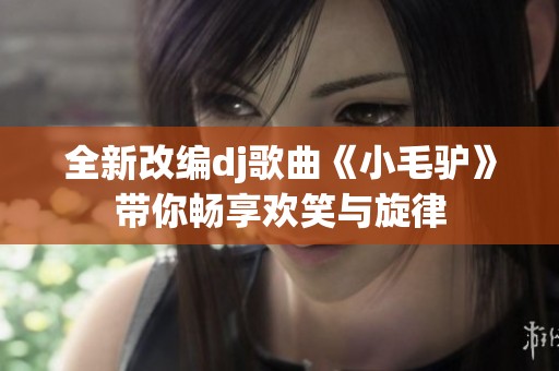 全新改编dj歌曲《小毛驴》带你畅享欢笑与旋律