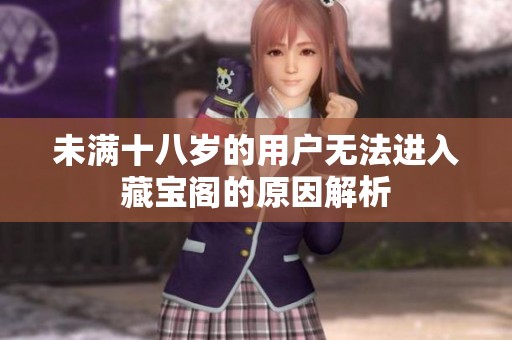 未满十八岁的用户无法进入藏宝阁的原因解析