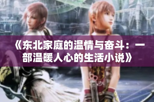 《东北家庭的温情与奋斗：一部温暖人心的生活小说》