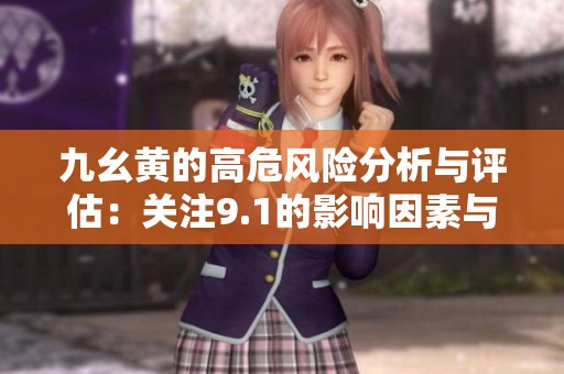 九幺黄的高危风险分析与评估：关注9.1的影响因素与对策