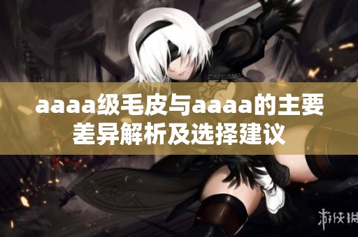 aaaa级毛皮与aaaa的主要差异解析及选择建议