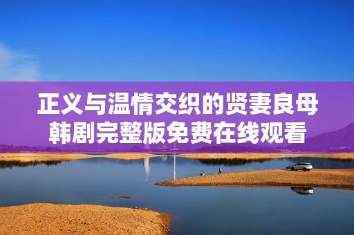 正义与温情交织的贤妻良母韩剧完整版免费在线观看