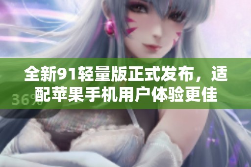 全新91轻量版正式发布，适配苹果手机用户体验更佳