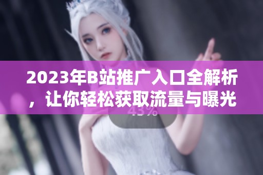 2023年B站推广入口全解析，让你轻松获取流量与曝光