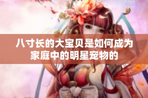 八寸长的大宝贝是如何成为家庭中的明星宠物的