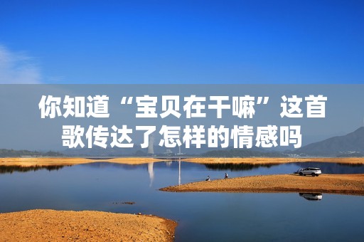 你知道“宝贝在干嘛”这首歌传达了怎样的情感吗