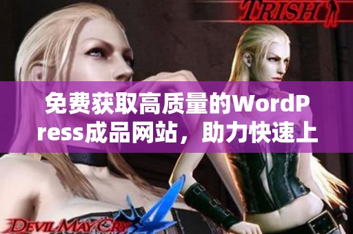 免费获取高质量的WordPress成品网站，助力快速上线