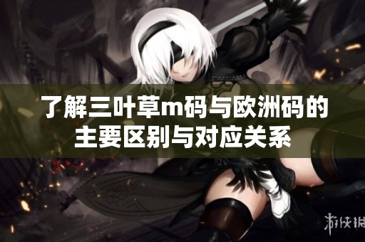 了解三叶草m码与欧洲码的主要区别与对应关系