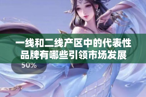 一线和二线产区中的代表性品牌有哪些引领市场发展