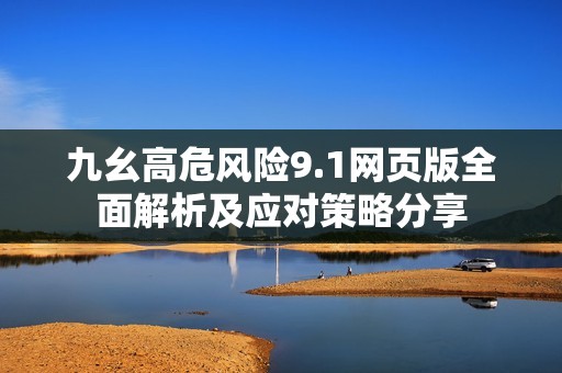 九幺高危风险9.1网页版全面解析及应对策略分享