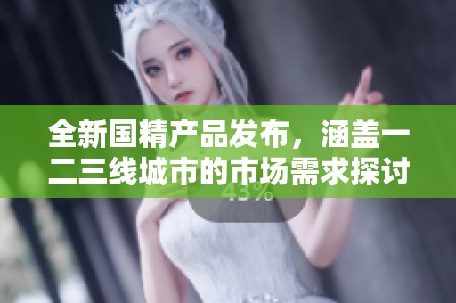 全新国精产品发布，涵盖一二三线城市的市场需求探讨