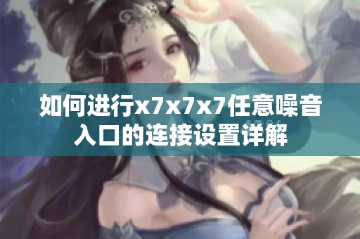 如何进行x7x7x7任意噪音入口的连接设置详解