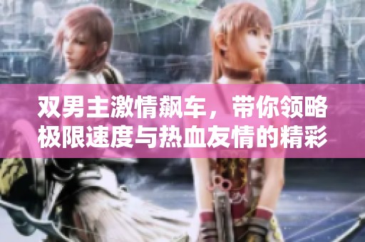 双男主激情飙车，带你领略极限速度与热血友情的精彩剧集