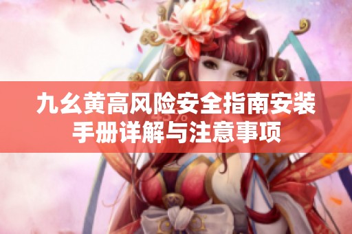 九幺黄高风险安全指南安装手册详解与注意事项